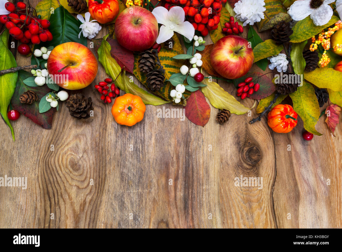 Ringraziamento o caduta in accordo con zucche, mele, foglie di autunno, rowan bacche e fiori di colore bianco sul legno rustico sfondo, spazio di copia Foto Stock