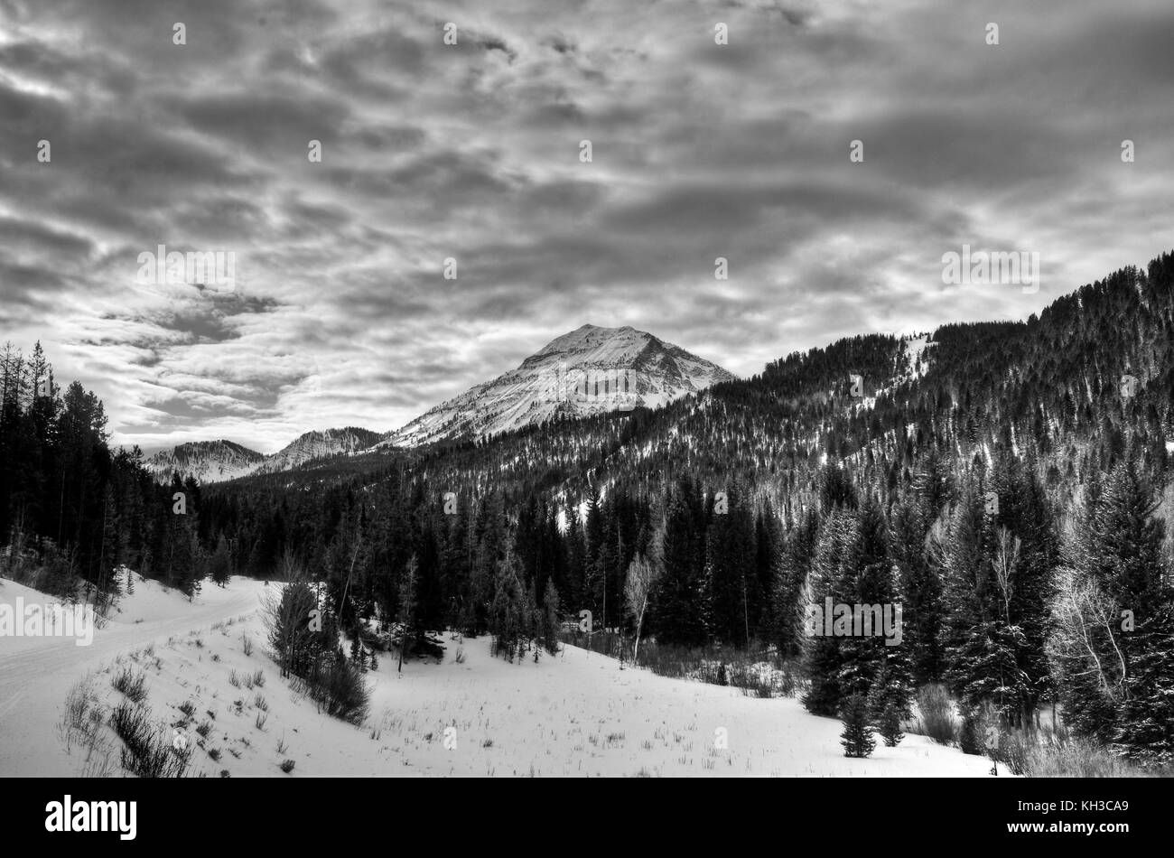 Lungo il sentiero per le motoslitte in grays river, Wyoming, un affluente del fiume Snake. Foto Stock