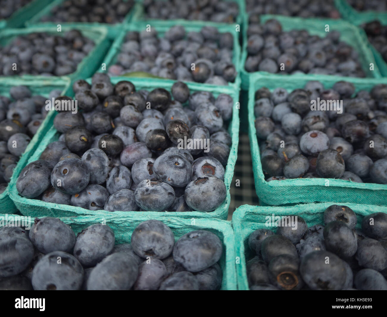 Cestini di mirtilli al mercato degli agricoltori Foto Stock