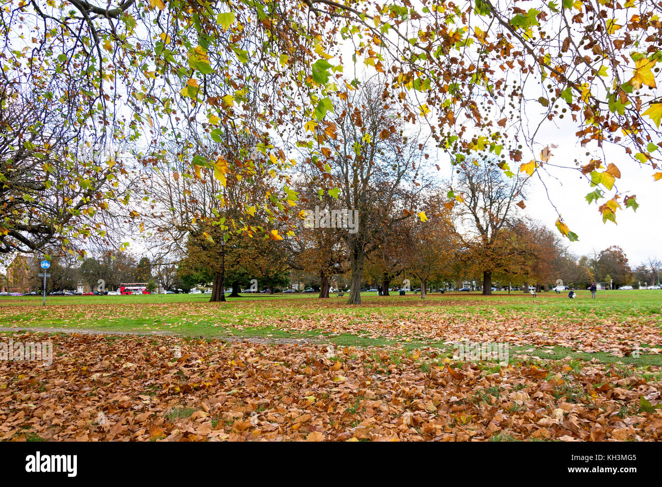 Il Comune in autunno, Ealing, London Borough of Ealing, Greater London, England, Regno Unito Foto Stock