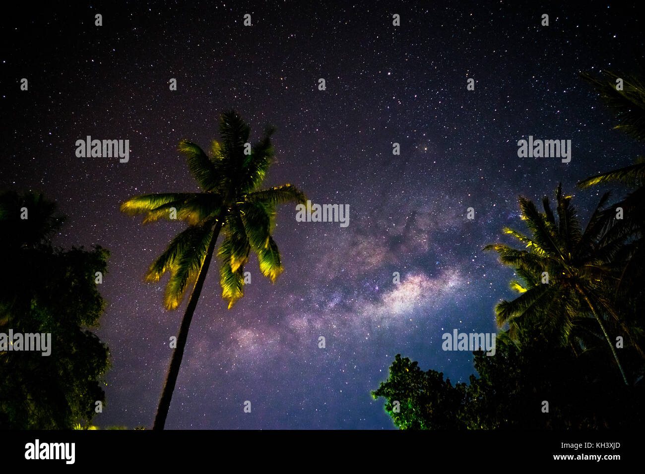 Via lattea dietro palme in Indonesia Foto Stock