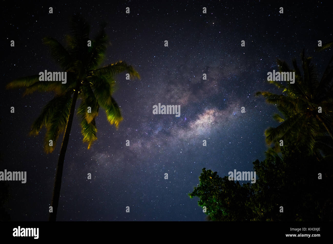 Via lattea dietro palme in Indonesia Foto Stock