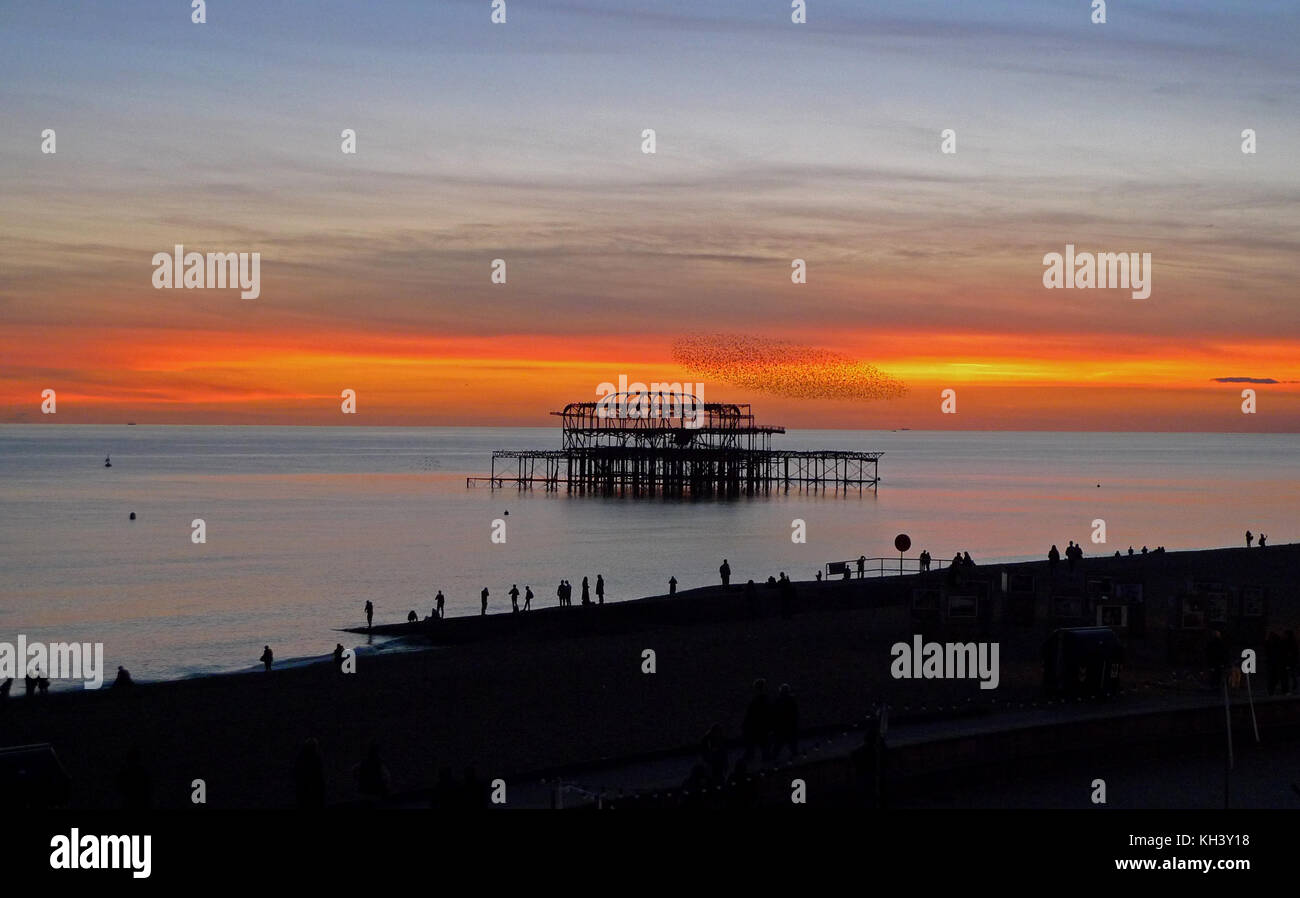 Il mormorio storni durante il tramonto a Brighton Foto Stock