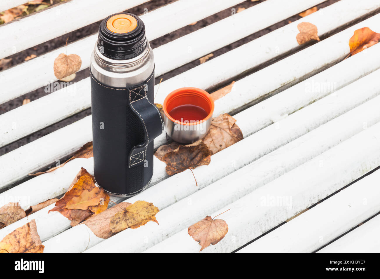 Tourist thermos con coppa si distingue sul banco di bianco in autunno park Foto Stock