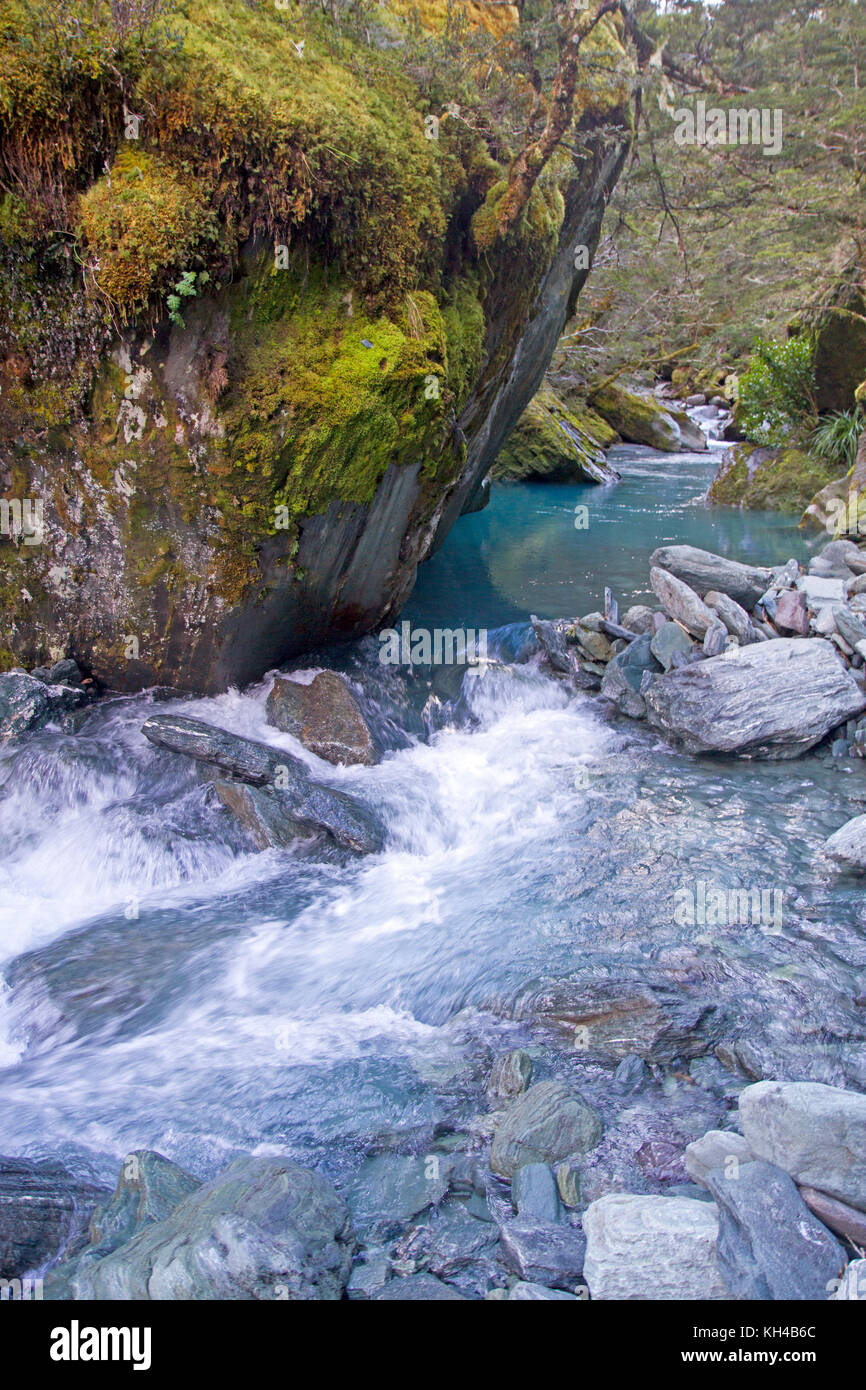 Rob Roy stream in Mt Aspiring national park Foto Stock
