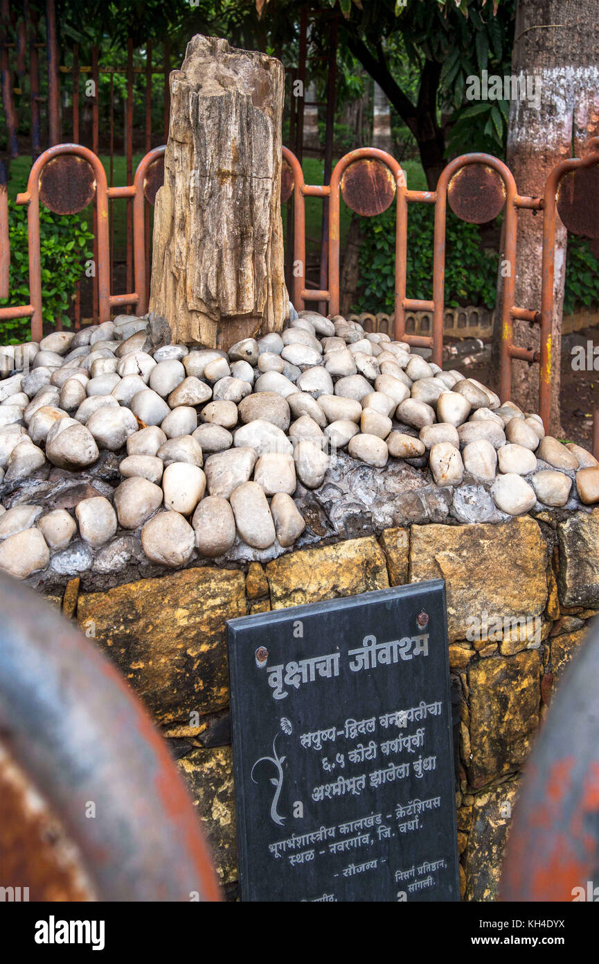 , Giardino, Sangli, Maharashtra, India, Asia Foto Stock