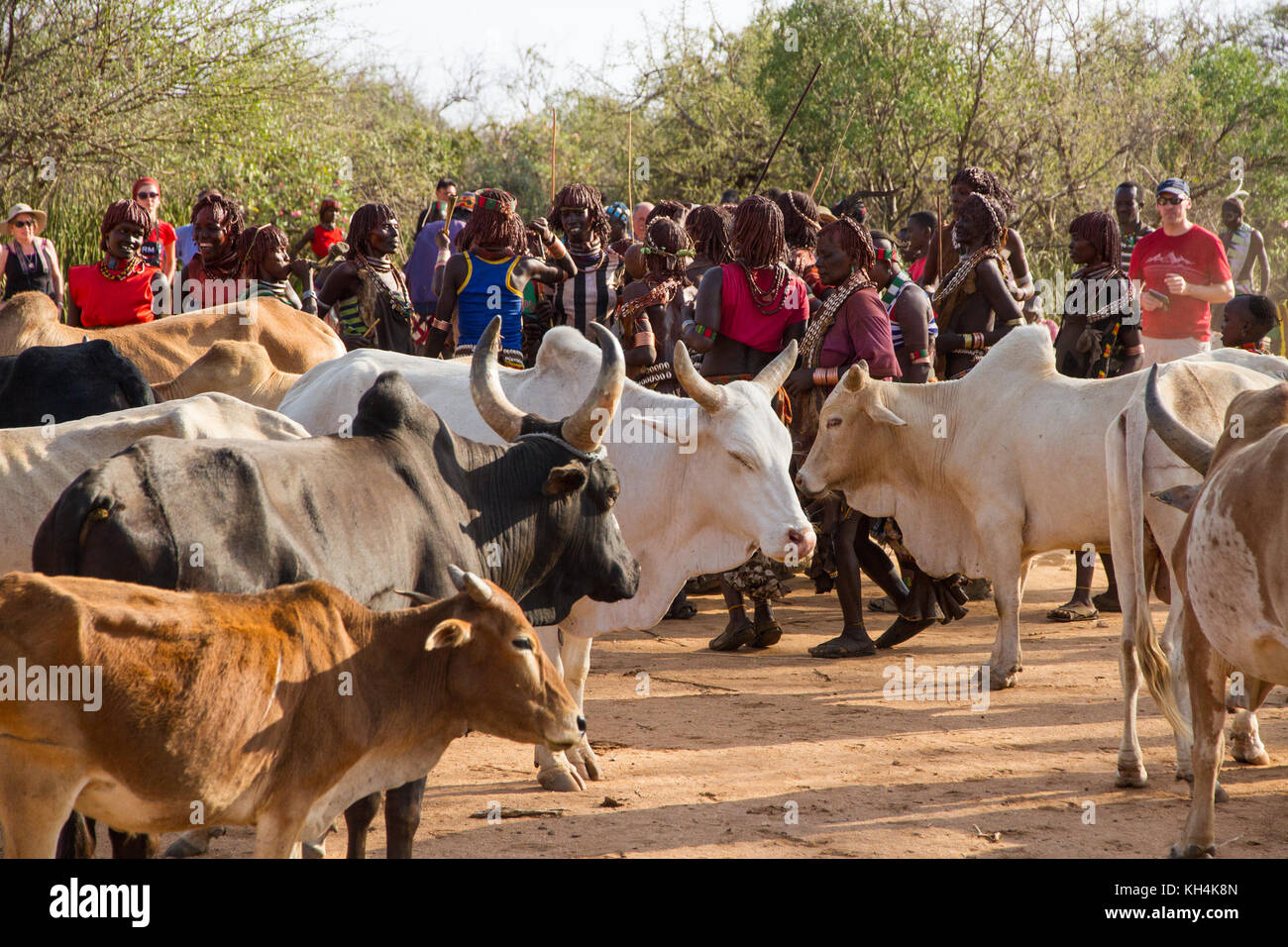 Turmi, Etiopia - 14/11/16: le donne dal hamar tribù, cantare e ballare all'inizio del bull cerimonia di salto Foto Stock