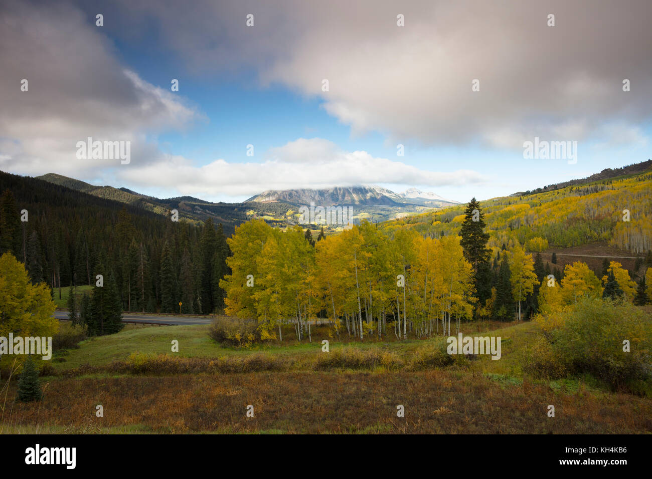 Aspens in autunno Kebler Pass Colorado Foto Stock