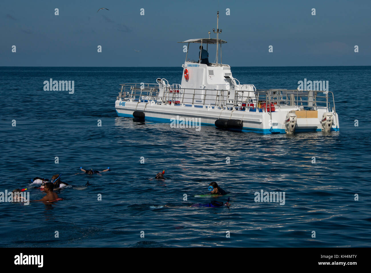 Caraibi, Isole Leeward, Aruba (parte delle Isole ABC), Oranjestad. Turisti snorkeling sopra il relitto Antilla, seconda guerra mondiale naufragio t Foto Stock