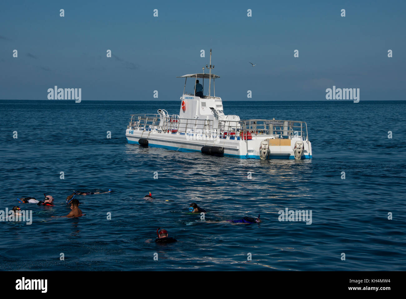 Caraibi, Isole Leeward, Aruba (parte delle Isole ABC), Oranjestad. Turisti snorkeling sopra il relitto Antilla, seconda guerra mondiale naufragio t Foto Stock