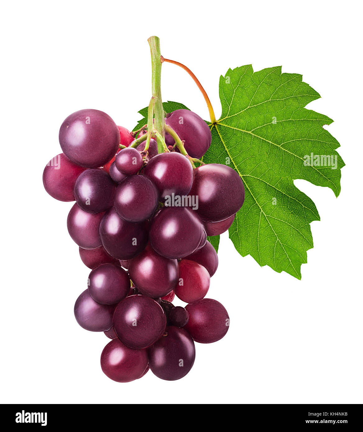 Grappolo maturo di uva rossa con foglie isolati su sfondo bianco. percorso  di clipping. tutta la profondità di campo Foto stock - Alamy