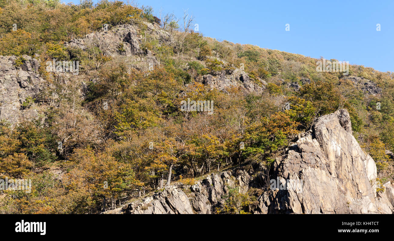 Bodetal Harz Harzer Hexen Stieg Blick auf die Felsen Foto Stock