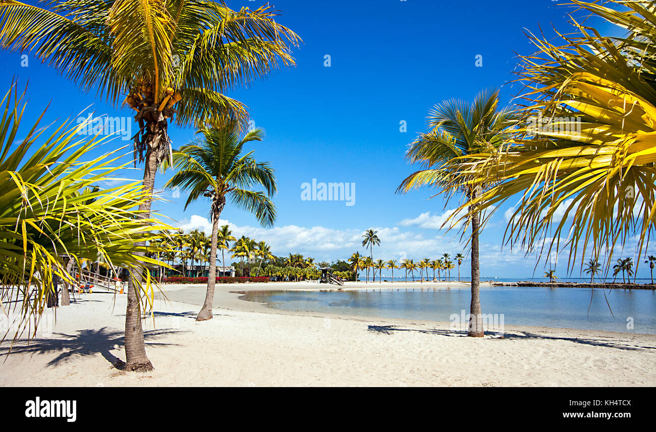La spiaggia di rotondi a matheson amaca Parcheggio contea di Miami in Florida Foto Stock
