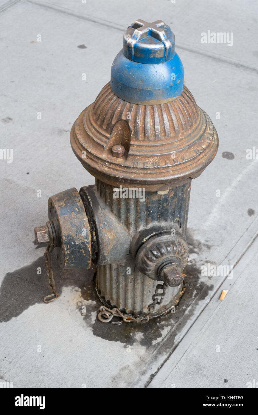 Ghisa idrante di fuoco, Manhattan, New York City, Stati Uniti d'America. Foto Stock