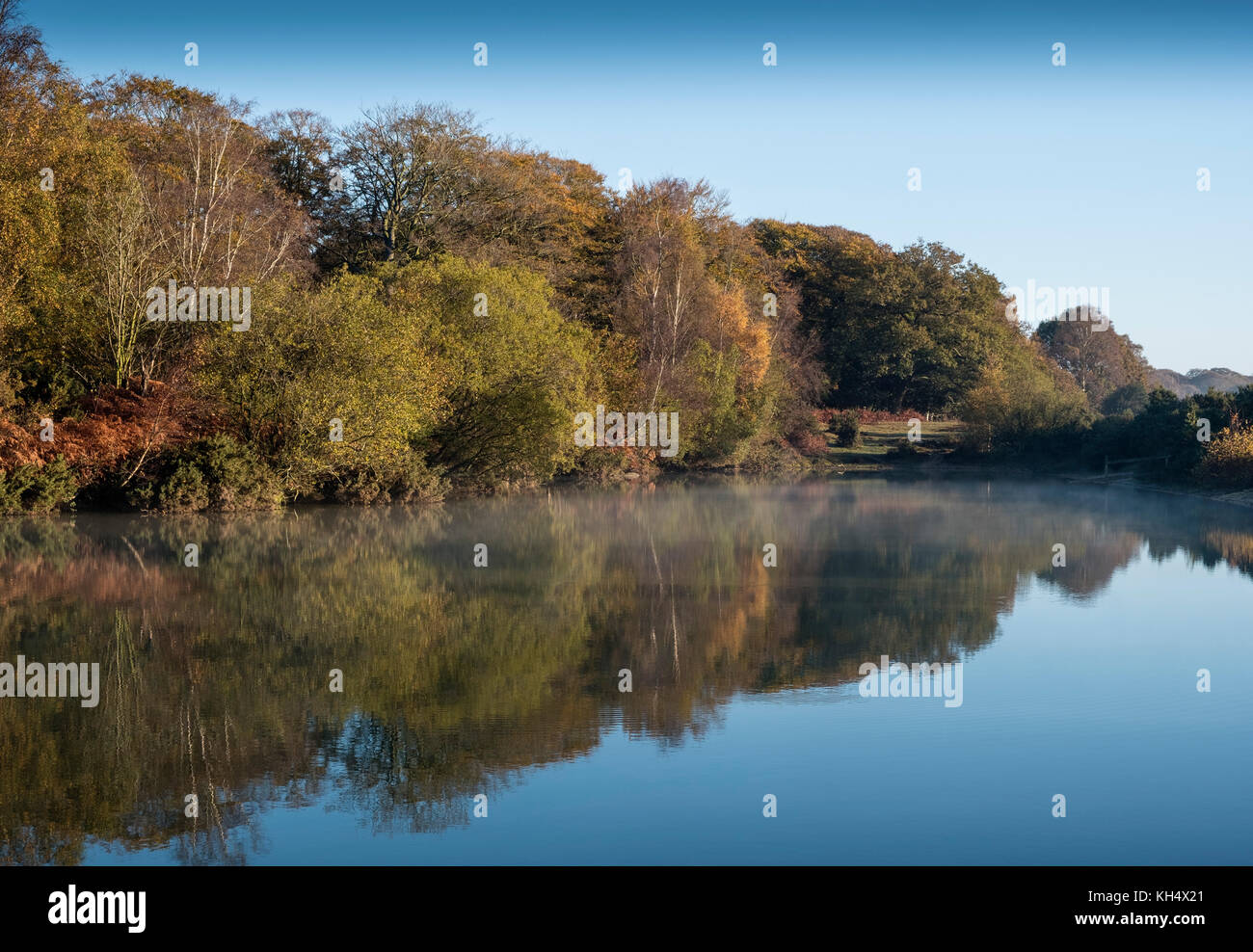 La mattina presto luce su Cadman's Pool, nella nuova foresta, mostra i colori dell'autunno di alberi ed arbusti riflessa nelle acque calme, Hampshire, Regno Unito Foto Stock