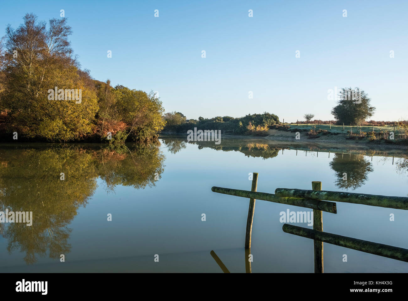 La mattina presto luce su Cadman's Pool, nella nuova foresta, mostra i colori dell'autunno di alberi ed arbusti riflessa nelle acque calme, Hampshire, Regno Unito Foto Stock