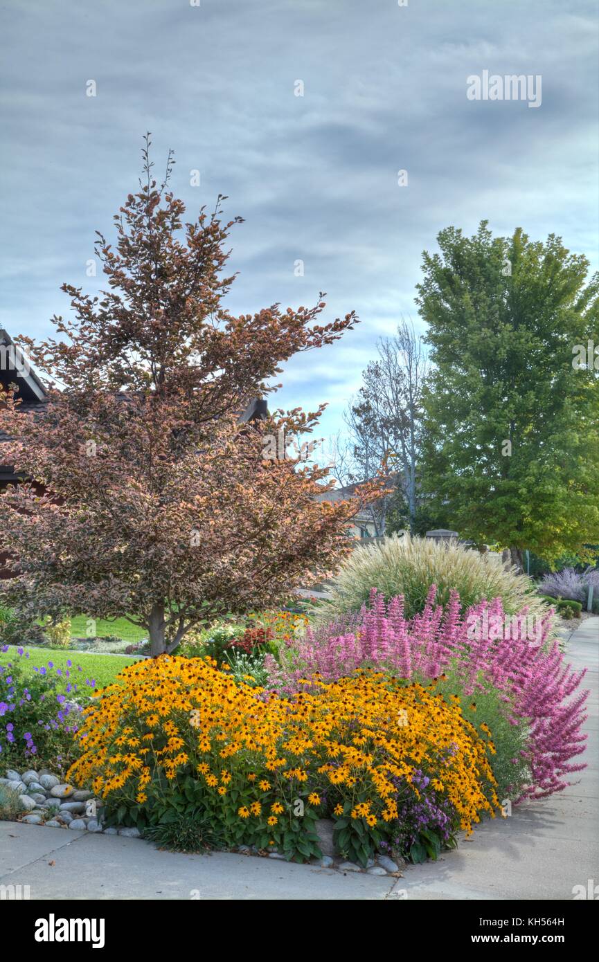Una colorata combinazione di piante che confinano con un angolo del marciapiede. Foto Stock