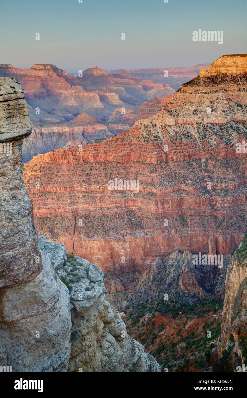 Il Cedar Ridge in ritardo dopo la luce di mezzogiorno con le ampie valli e creste del grande Grand Canyon esposti in background. Foto Stock