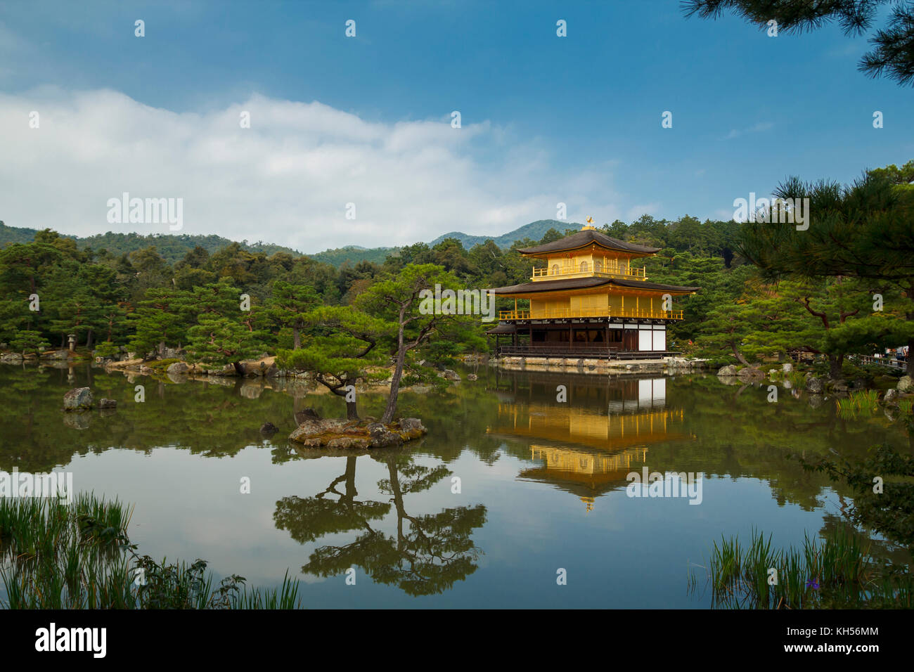 Il padiglione dorato Kinkaku-ji il tempio di Kyoto, Giappone Foto Stock