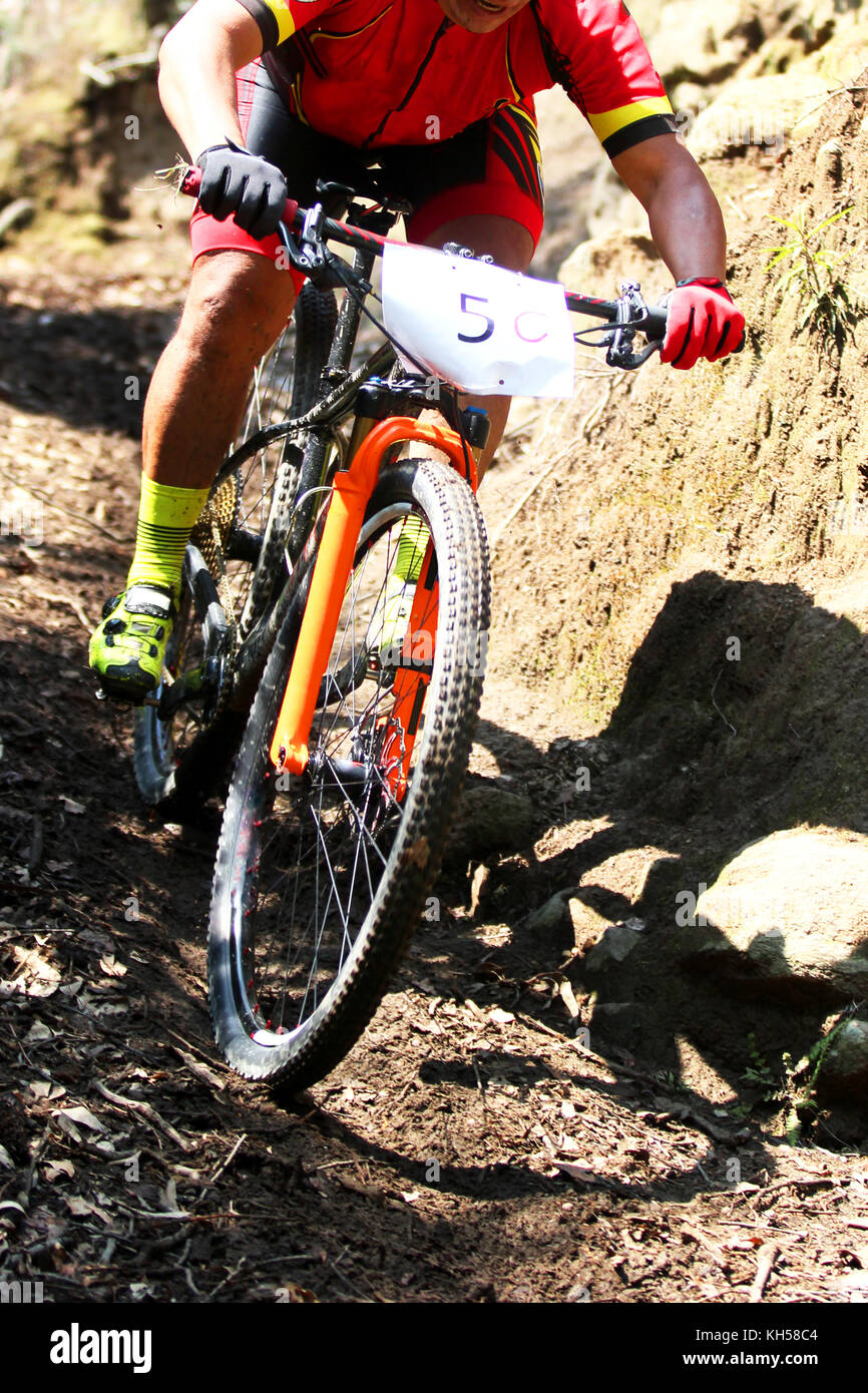 Foto verticale di un cross country mountain bike rider andare veloci in discesa in un sentiero polveroso Foto Stock