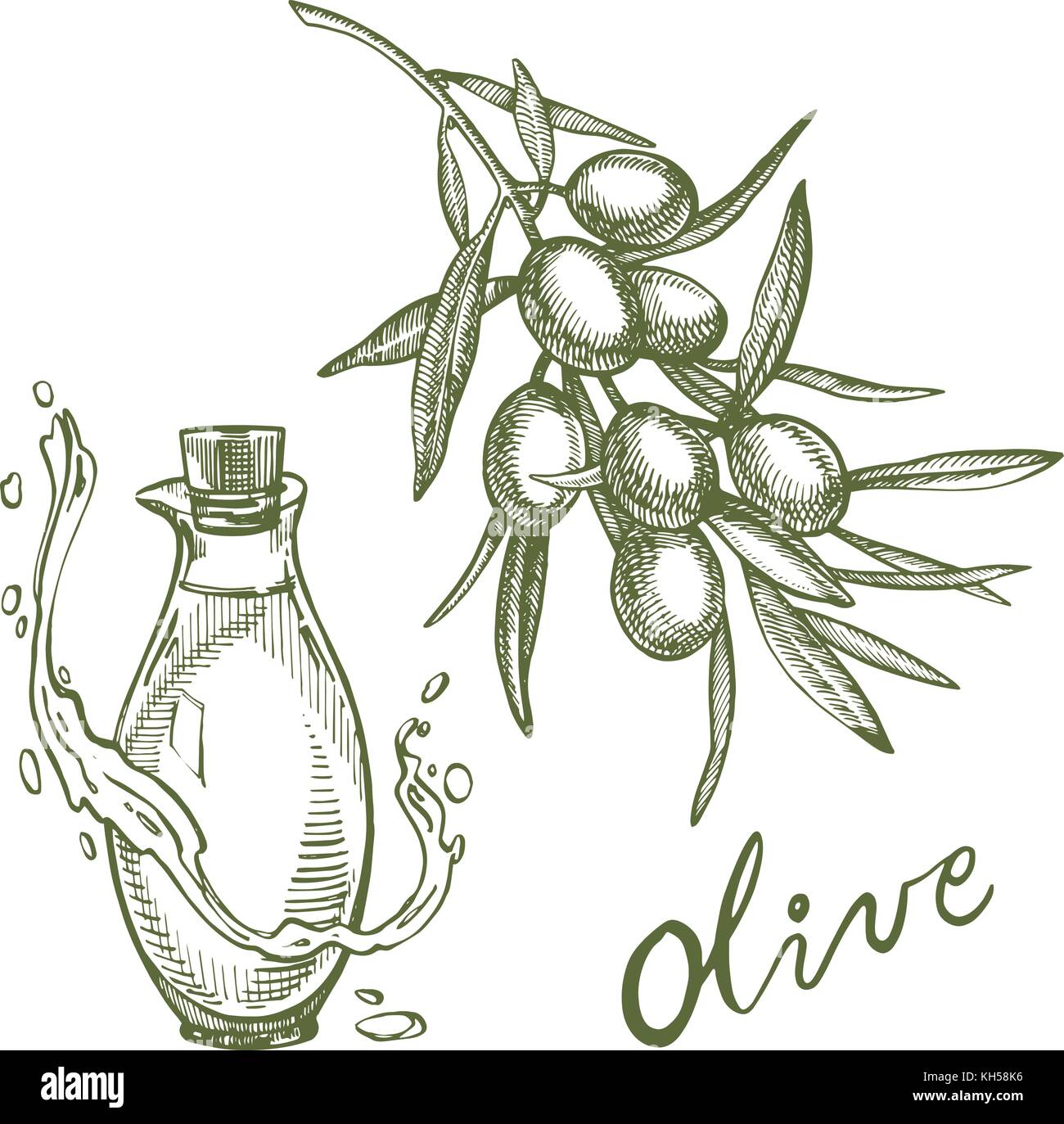 Un ramo di olive mature è succosa versata con olio. farmers market menu design. cibo organico poster. mano vintage bozzetto illustrazione vettoriale. grafico lineare. Illustrazione Vettoriale