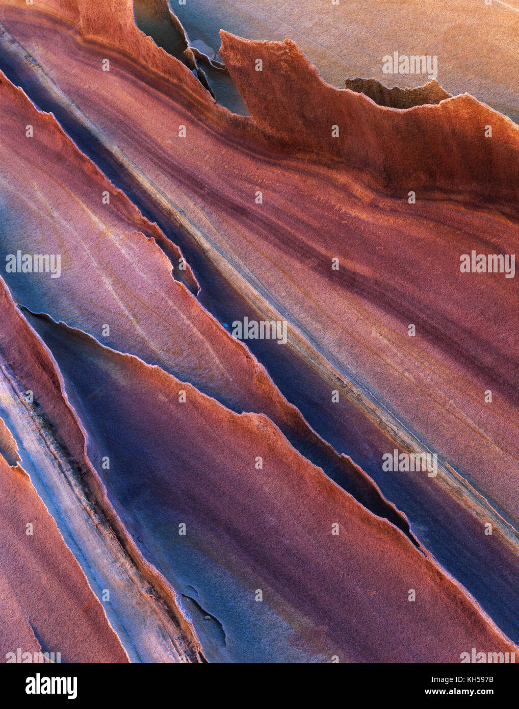 Colorado astratto di plateau di roccia arenaria formazione Coyote Buttes nel Canyon Paria Vermiglio scogliere deserto dell'altopiano del Colorado Foto Stock