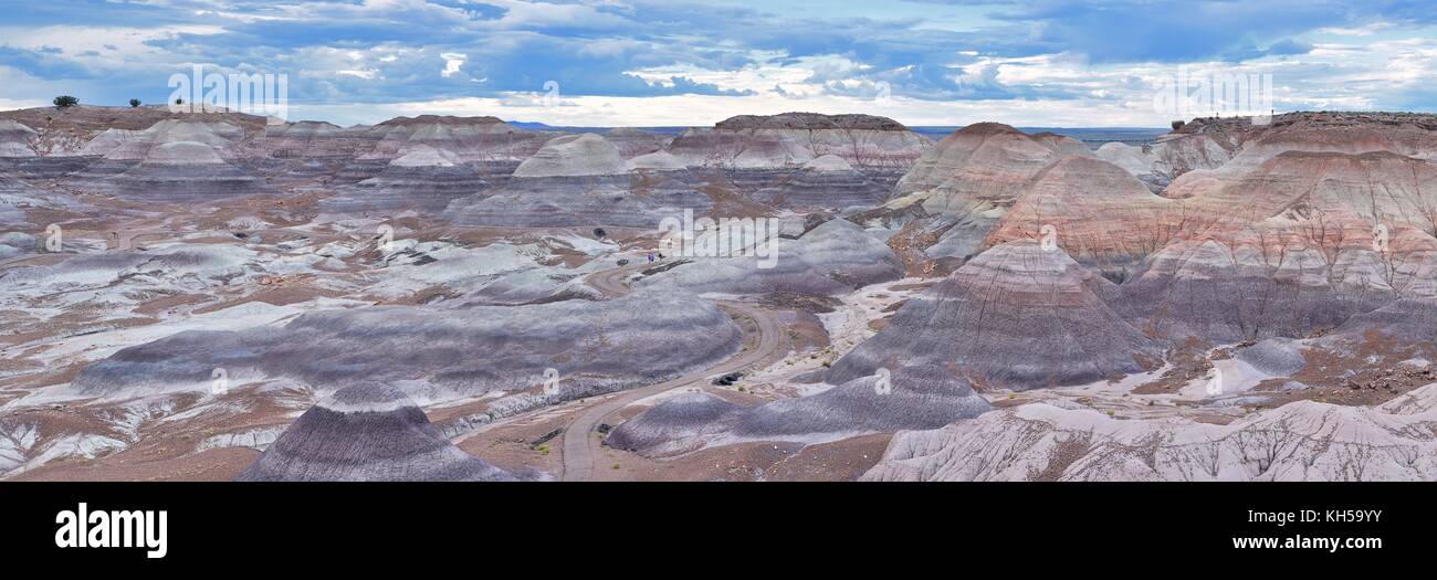 Natura Deserto Dipinto, parco nazionale della foresta pietrificata, Arizona, Stati Uniti d'America Foto Stock