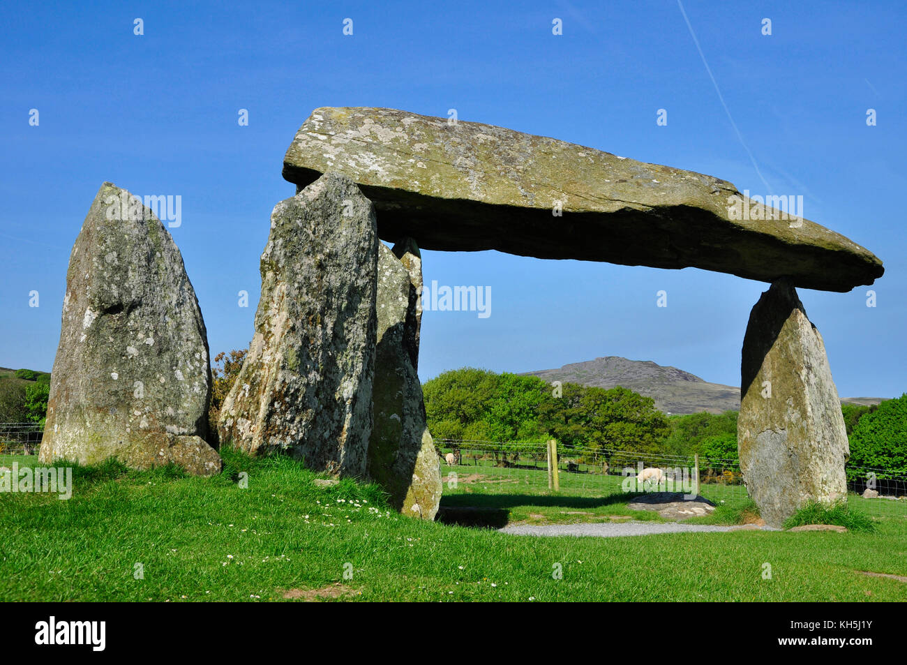 Camera di sepoltura di Pentre Ifan, monumento megalitico eretto in età neolitica.3500BC. Portal Dolmen tipo Tomb.nr Newport, Pembrokeshire, Wales.UK Foto Stock