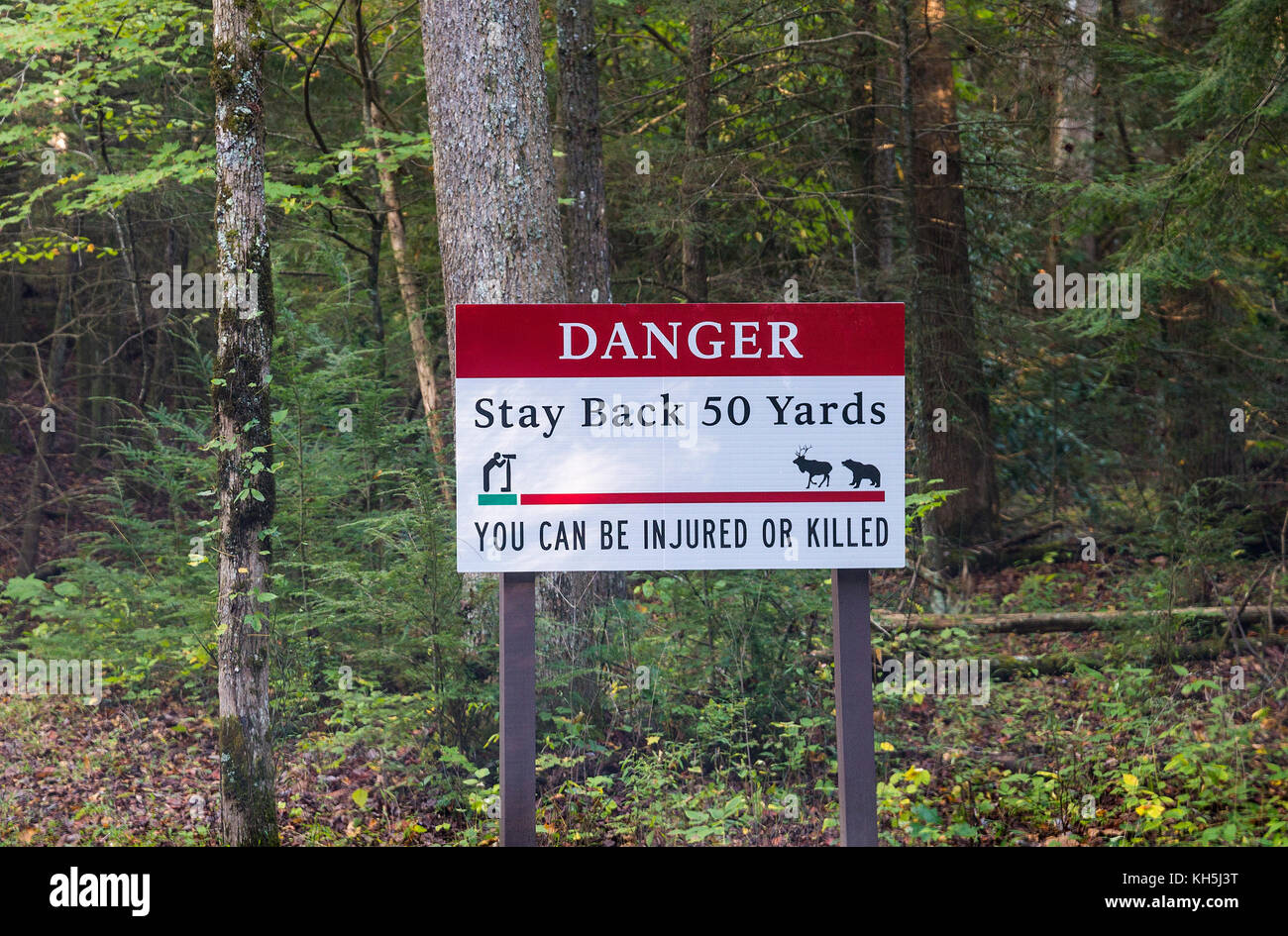 Parco Nazionale di Great Smoky Mountains. Cades Cove loop road. Foto Stock