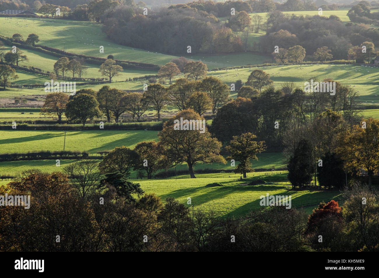 Lunghe ombre autunnali stretching over il mosaico di campi e pascoli in East Sussex Foto Stock