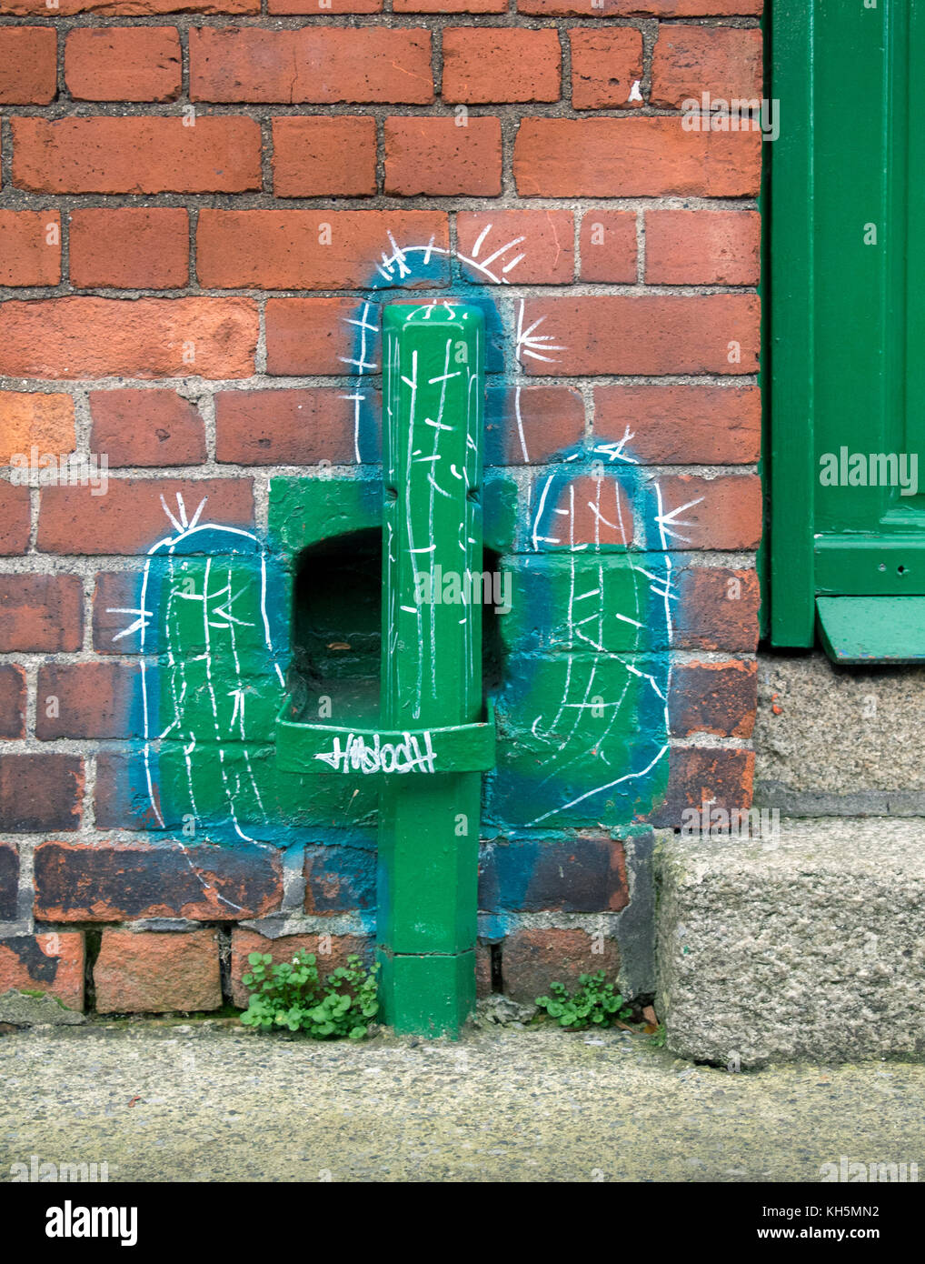 Dublino, Irlanda - 17 febbraio 2017: un disegno di un cactus colorati al di fuori di una casa di Dublino. Foto Stock