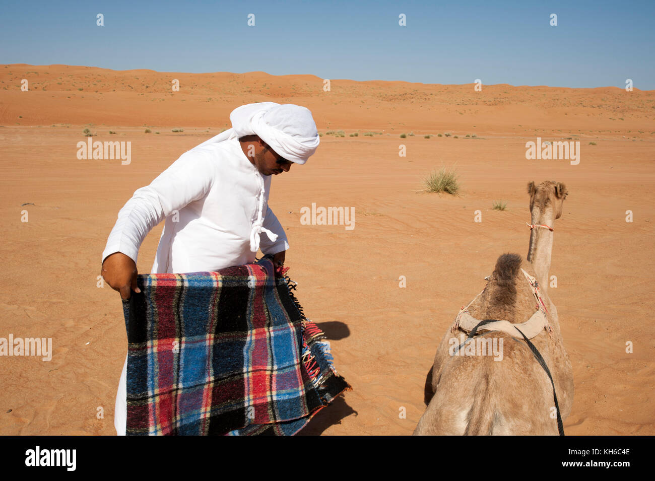 Camel tour, Wahiba Sands desert, Oman Foto Stock