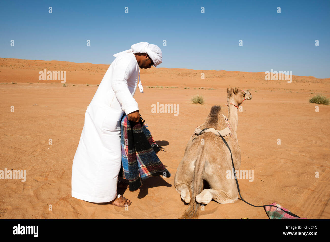 Camel tour, Wahiba Sands desert, Oman Foto Stock