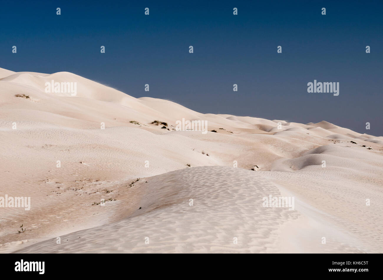 Deserto khaluf, Oman. Foto Stock