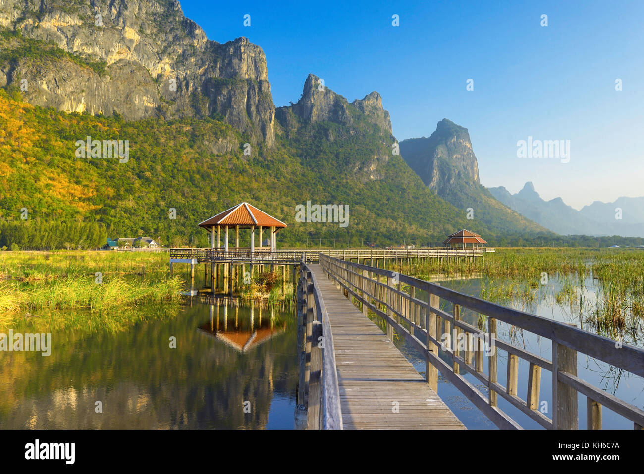 Tappo bua a khao sam roi yod national park, Thailandia Foto Stock