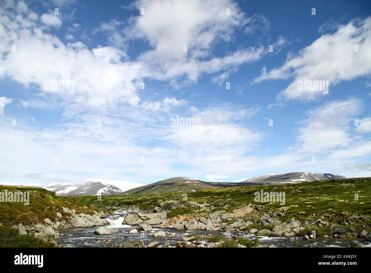 La tundra in dovrefjell national park, Norvegia Foto Stock