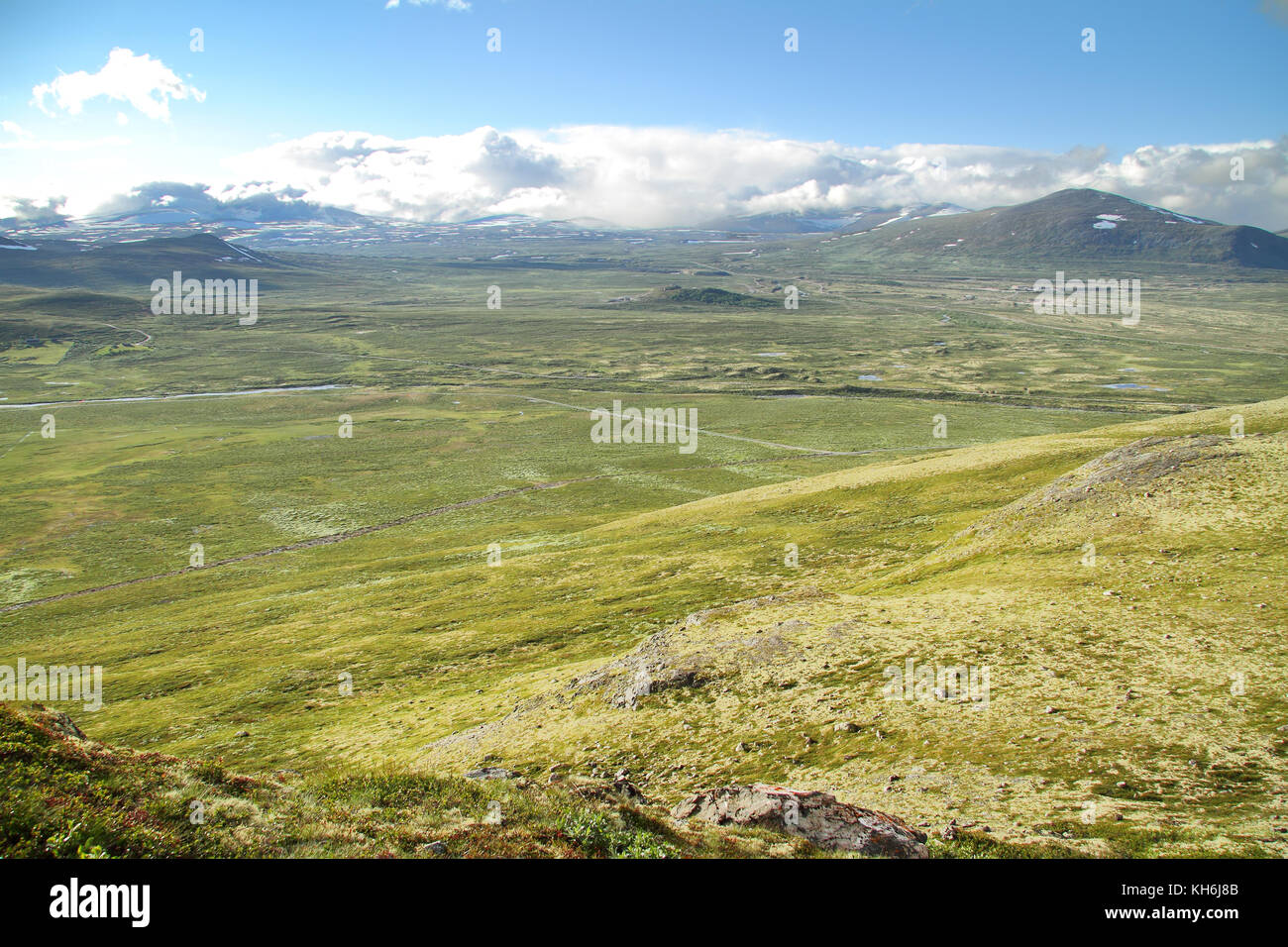 La tundra in dovrefjell national park, Norvegia. Foto Stock