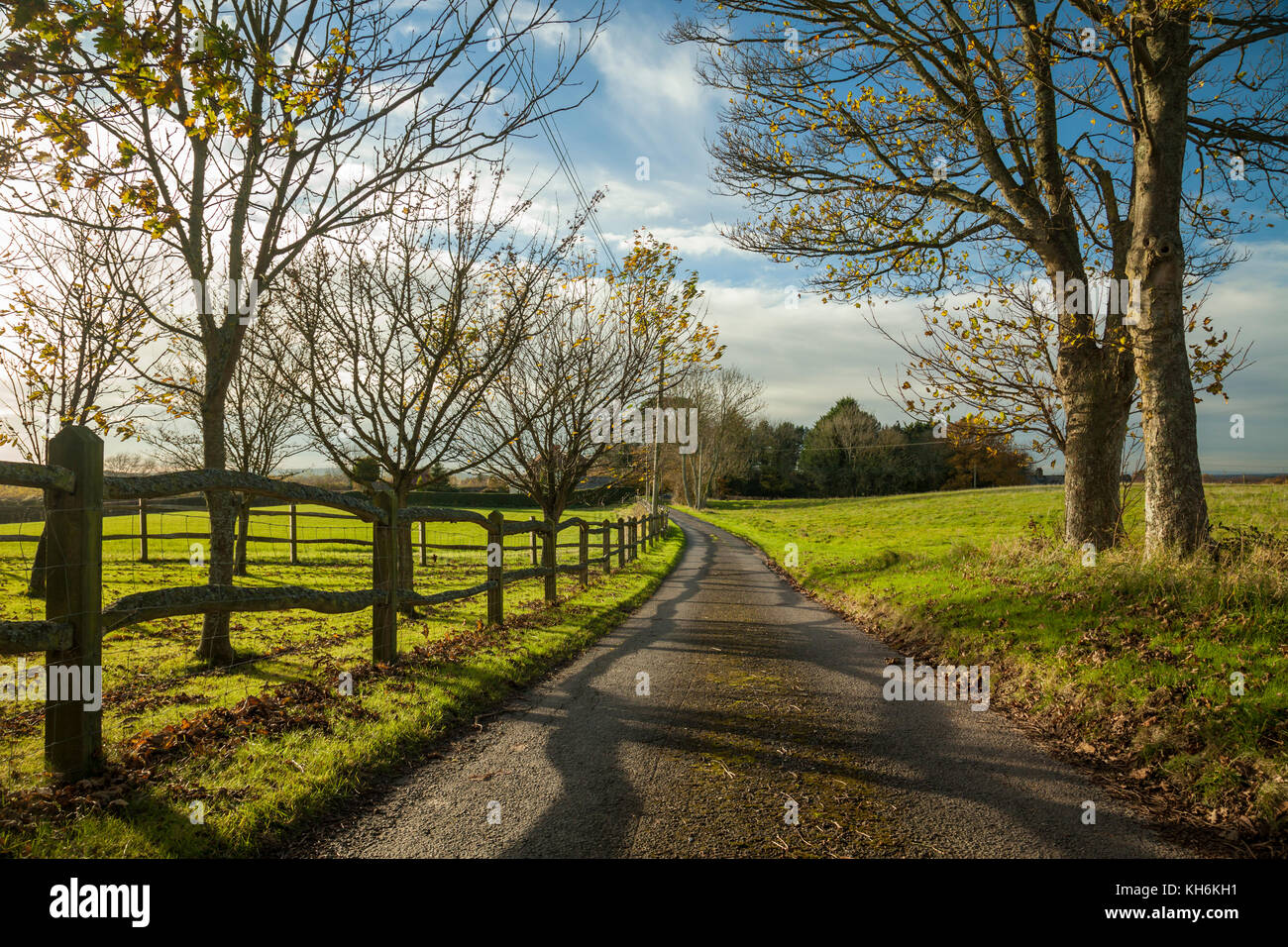 Pomeriggio autunnale nel west sussex campagna, Inghilterra. Foto Stock
