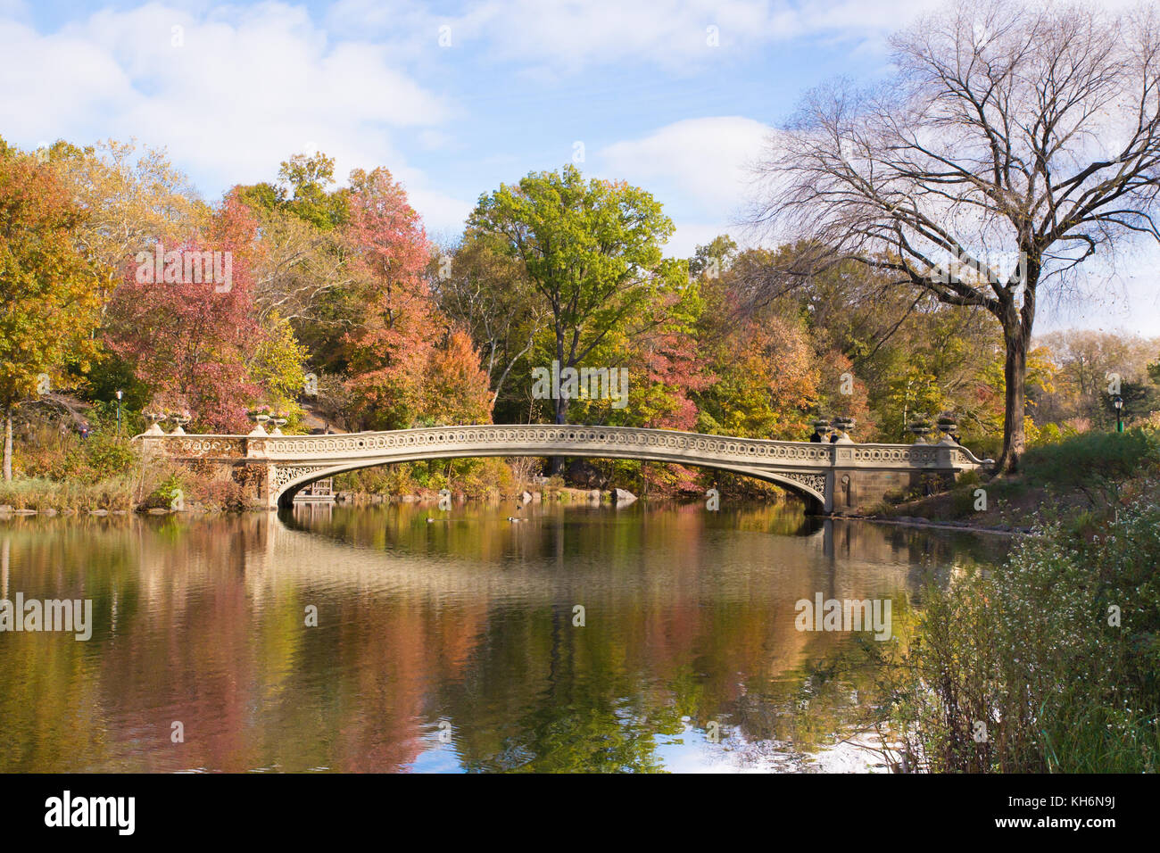 Panoramica bow bridge nel central Park di New York City con colorate Foglie di autunno Foto Stock