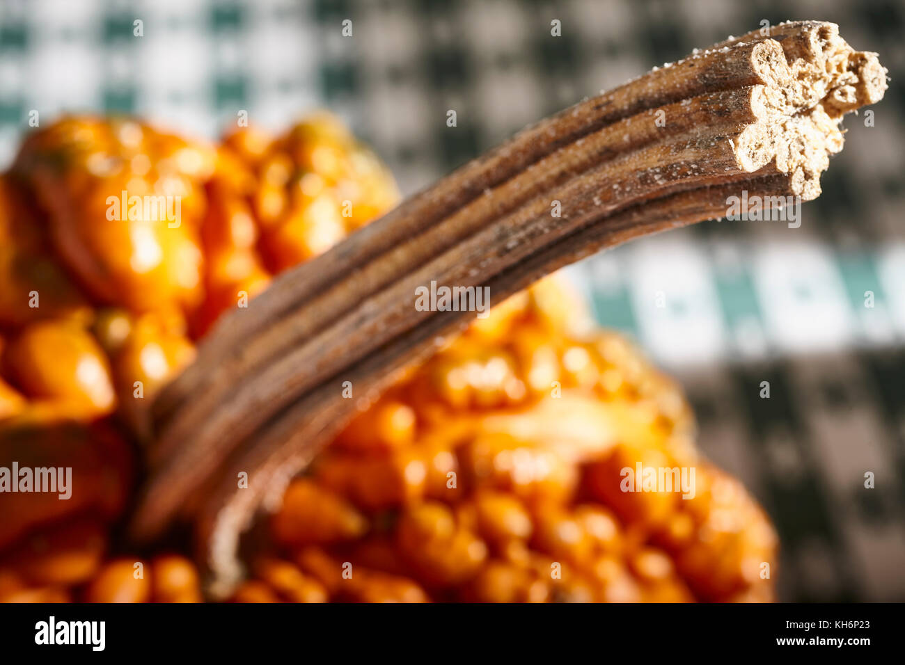 Un rosso presenta verrucosa zucca Foto Stock