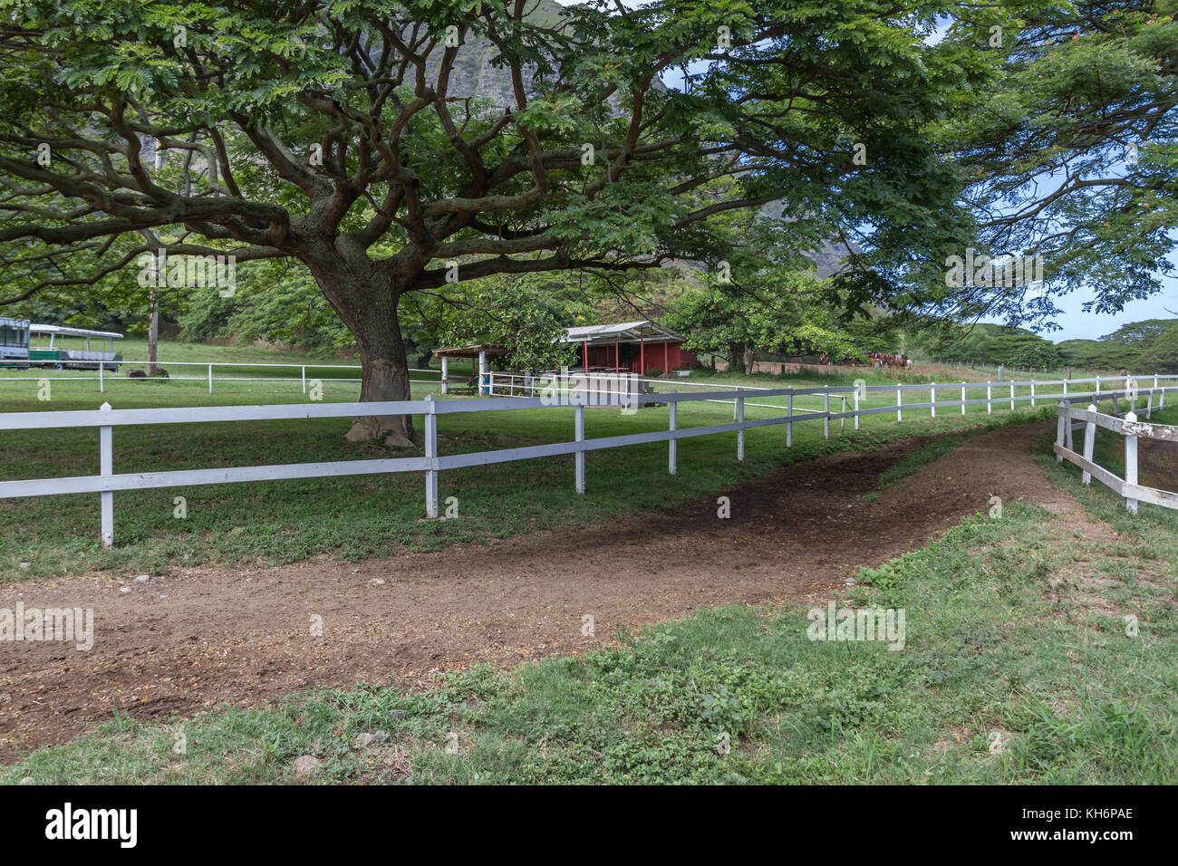 Kualoa Ranch e le montagne sull'isola di Oahu Foto Stock