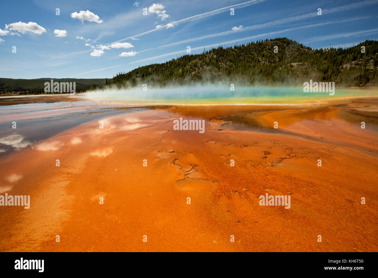 Wy02599-00...wyoming - colorata algea al Grand Prismatic Spring nel midway Geyser Basin del parco nazionale di Yellowstone. Foto Stock