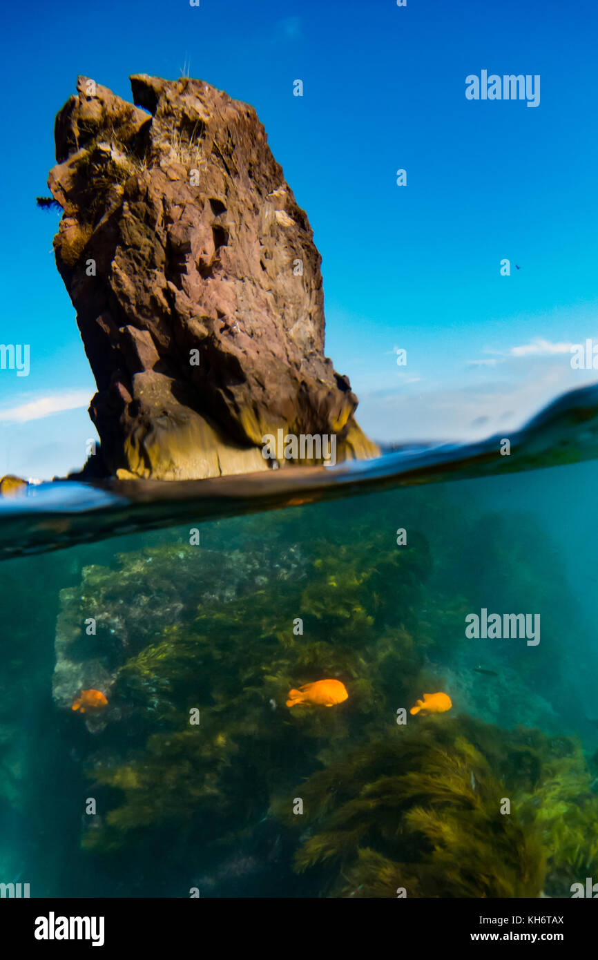 Al di sopra e al di sotto di scatti del mondo marino e paesaggi di Catalina Island, California, Stati Uniti d'America Foto Stock