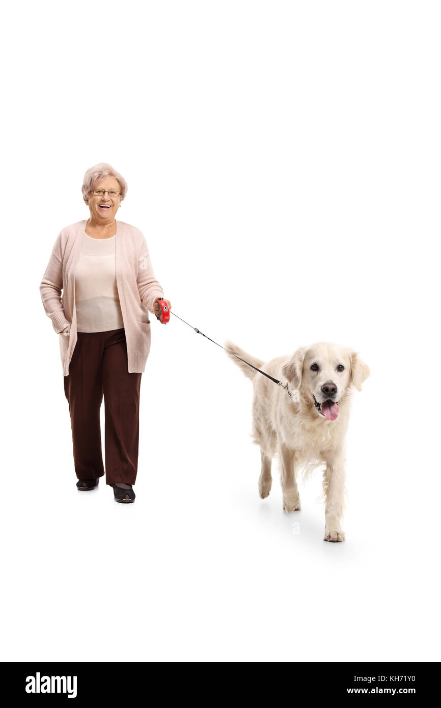 A piena lunghezza Ritratto di una donna anziana a piedi un cane isolato su sfondo bianco Foto Stock