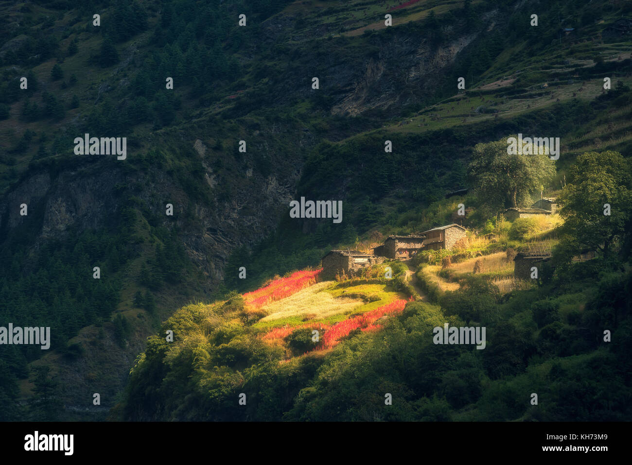 Fantastico piccolo villaggio sulla collina illuminata da un sole all'alba. Fairy scena con case e giardini con fiori e alberi e trail e montagna con gr Foto Stock