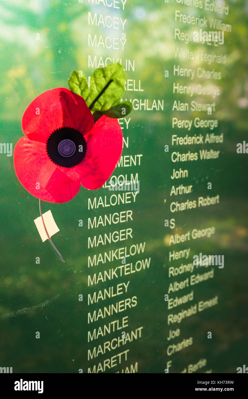 Papavero rosso accanto a una visualizzazione dei nomi dei caduti durante il Giorno del Ricordo le commemorazioni di Southampton, Hampshire, Regno Unito Foto Stock