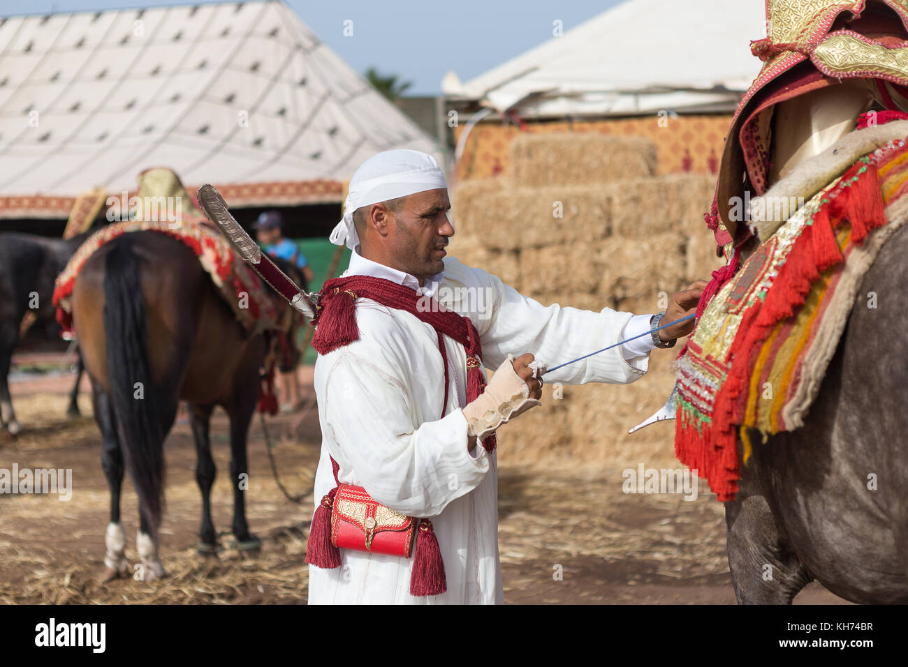 Fantasia è un tradizionale mostra di equitazione nel Maghreb eseguita durante le manifestazioni culturali e per chiudere magrebino festeggiamenti nuziali. Foto Stock