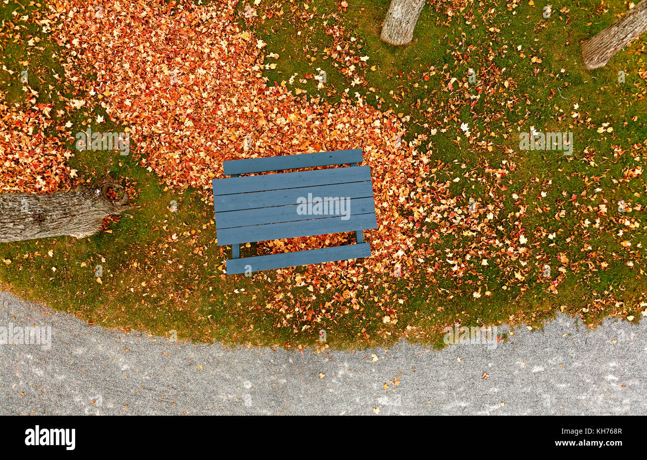 Palo antenna della passerella del parco con foglie di autunno, roccia frantumata trail, blu tavolo da picnic, erba e alberi. Foto Stock