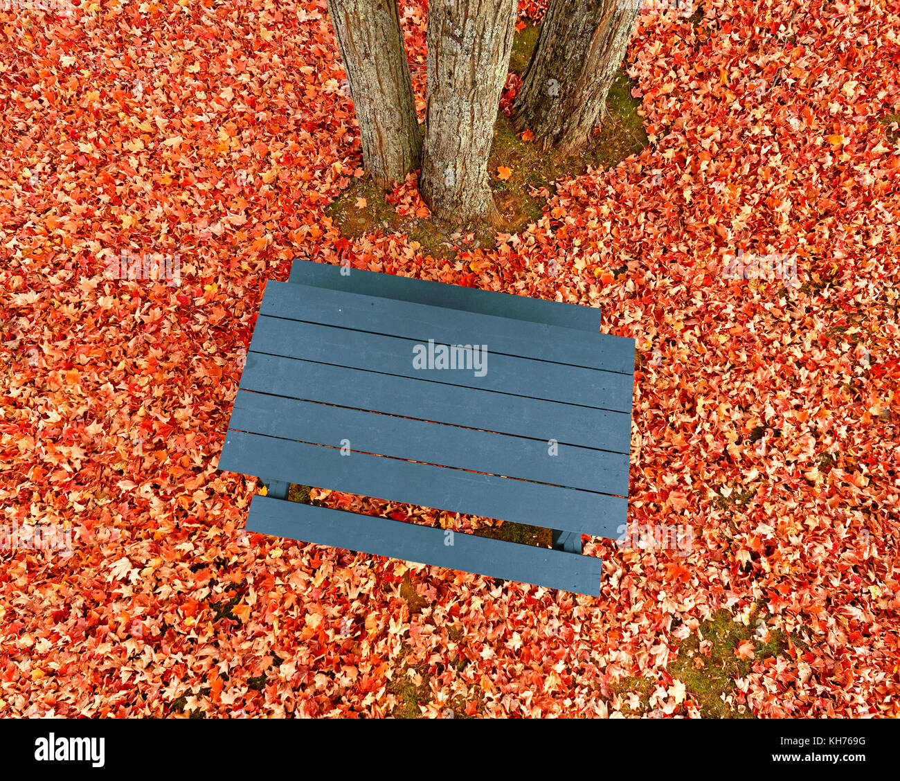 Antenna di polo di blu tavolo da picnic, foglie di autunno e gli alberi. Foto Stock