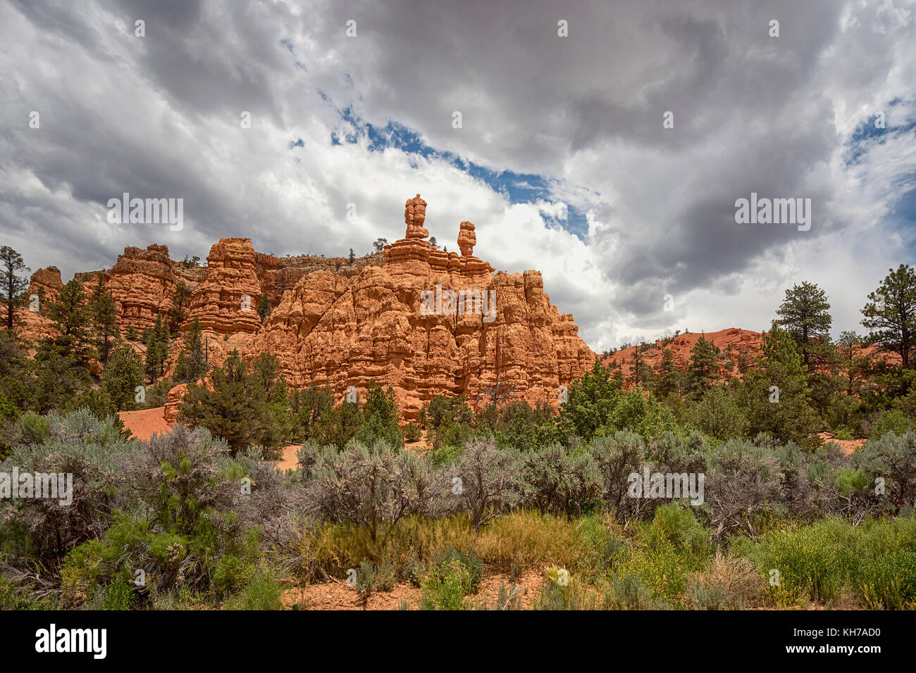 Bryce Canyon - Utah Foto Stock